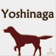 表札 ディスタントホワイト