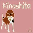表札 キャンディピンク