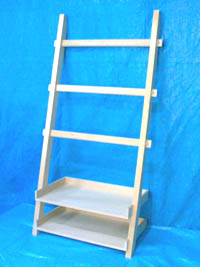 ladder-whole2.jpg