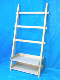 ladder-whole2.jpg