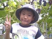�G�^�C���R���e�X�g���O�����v���c��